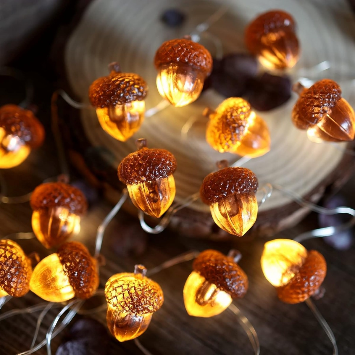 Led Fairy String Lights - Acorn String Lights for Thanksgiving Decorações,